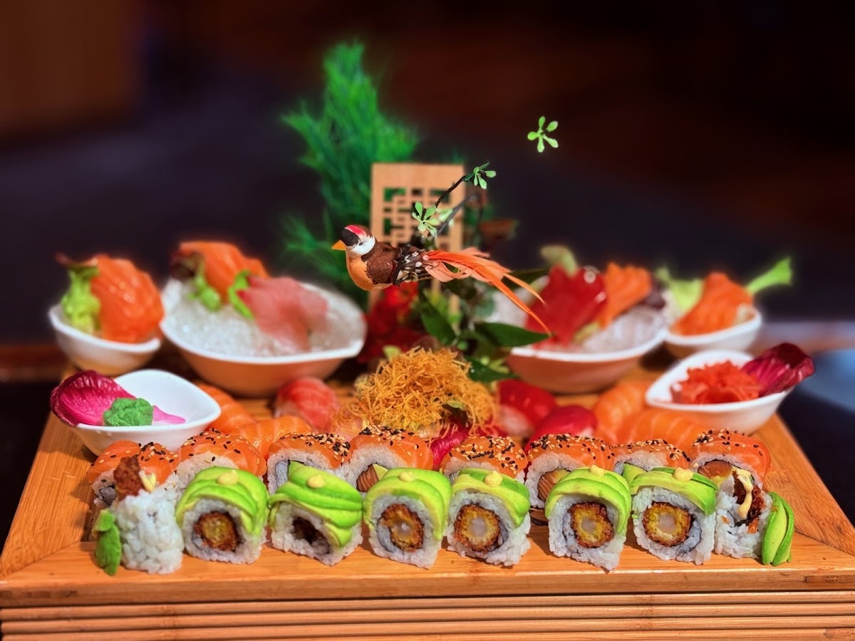 Soleil Levant Photos 2